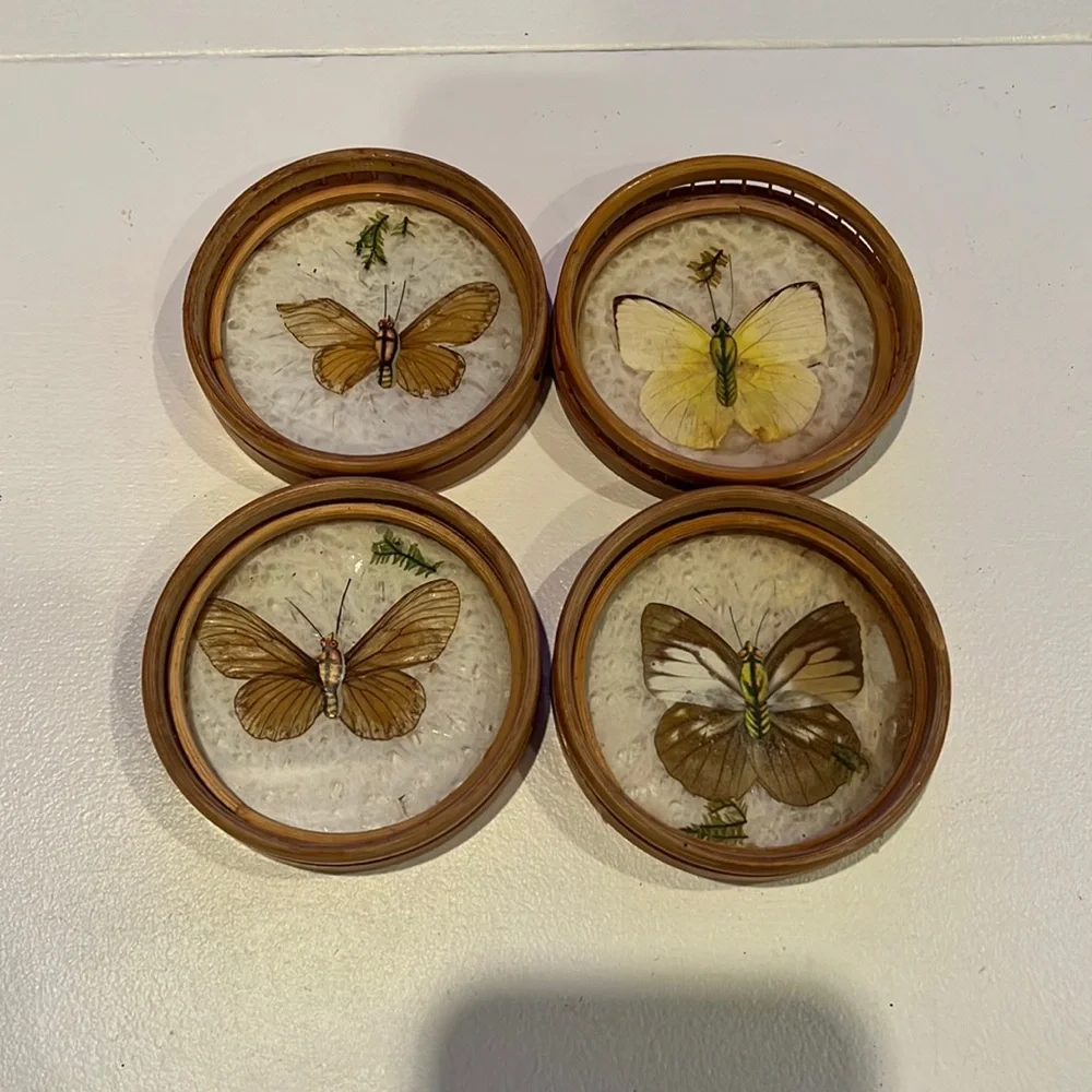 Vintage bamboo pressed butterfly coasters